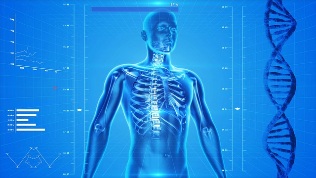 BMI using x-rays
