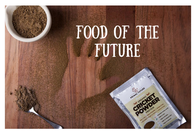 Food of the Future