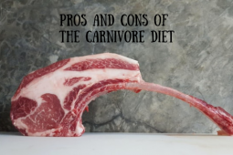 Carnivore Diet Healthy?