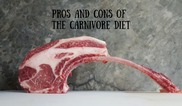 Carnivore Diet Healthy?