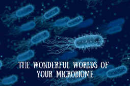Microbiome and Fitness